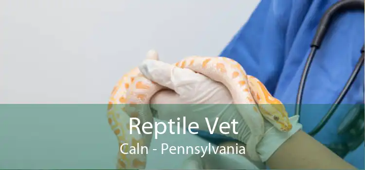 Reptile Vet Caln - Pennsylvania