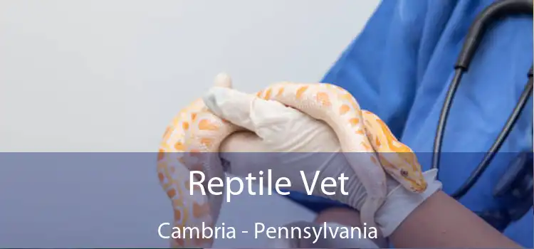 Reptile Vet Cambria - Pennsylvania