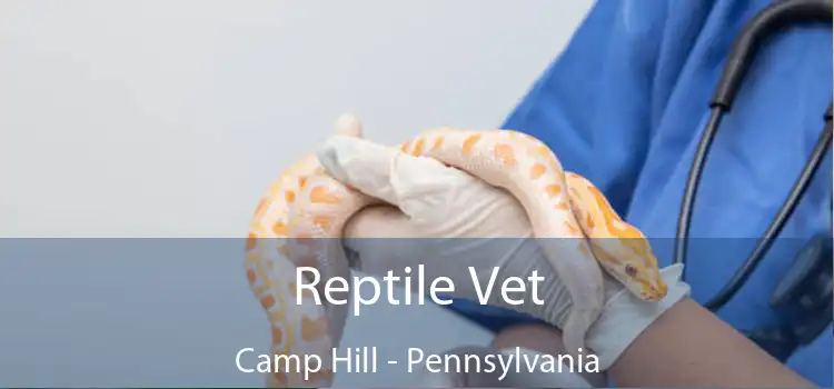 Reptile Vet Camp Hill - Pennsylvania