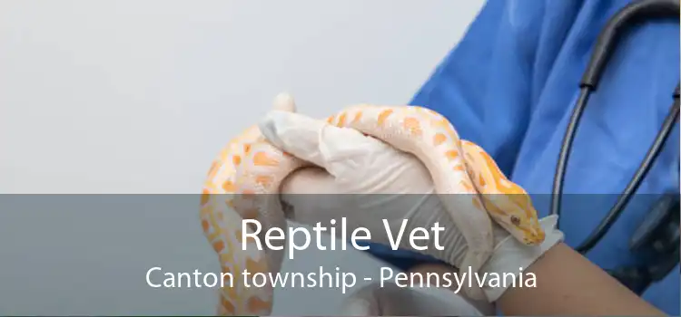 Reptile Vet Canton township - Pennsylvania