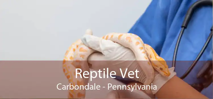 Reptile Vet Carbondale - Pennsylvania