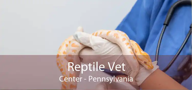 Reptile Vet Center - Pennsylvania