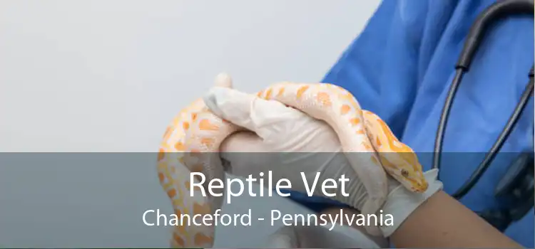 Reptile Vet Chanceford - Pennsylvania