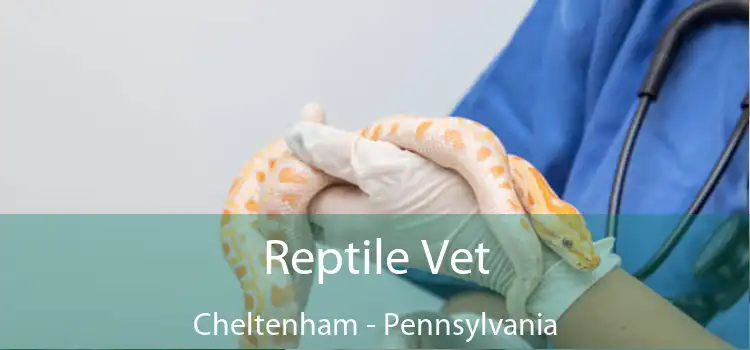 Reptile Vet Cheltenham - Pennsylvania