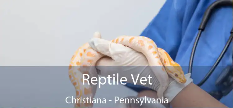 Reptile Vet Christiana - Pennsylvania