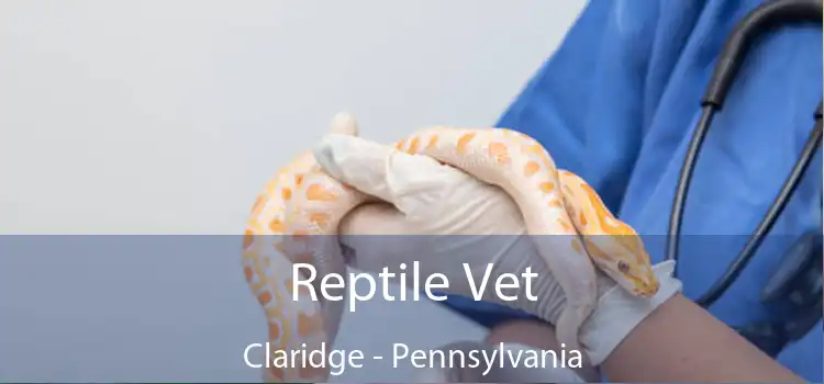 Reptile Vet Claridge - Pennsylvania