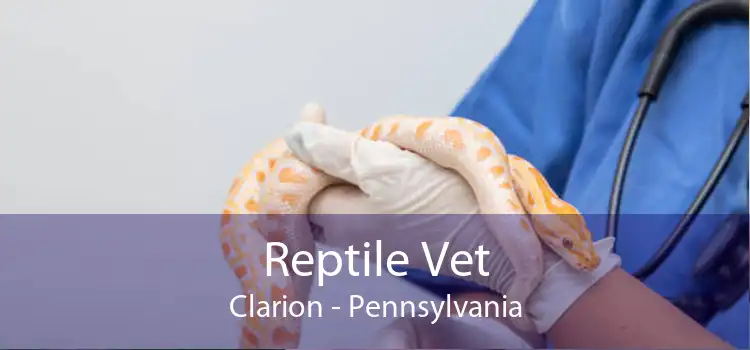 Reptile Vet Clarion - Pennsylvania