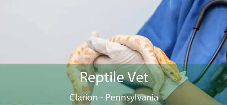 Reptile Vet Clarion - Pennsylvania