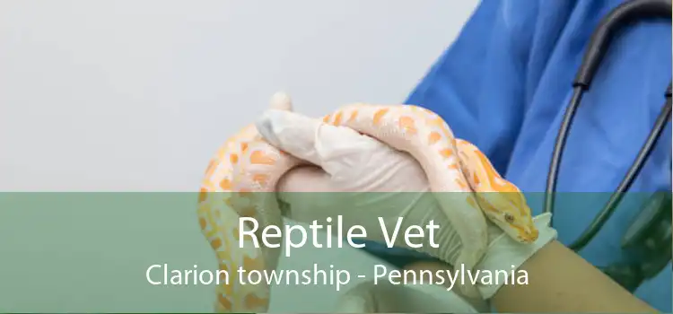 Reptile Vet Clarion township - Pennsylvania