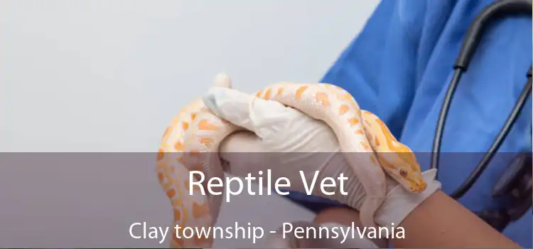 Reptile Vet Clay township - Pennsylvania