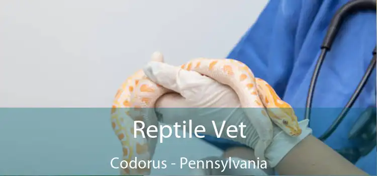 Reptile Vet Codorus - Pennsylvania
