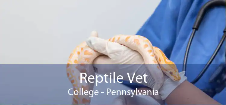 Reptile Vet College - Pennsylvania