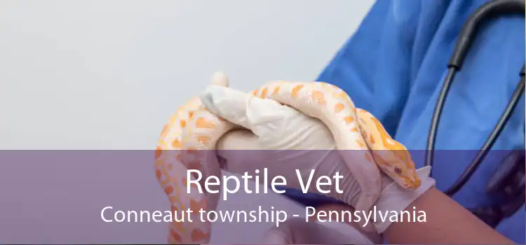 Reptile Vet Conneaut township - Pennsylvania