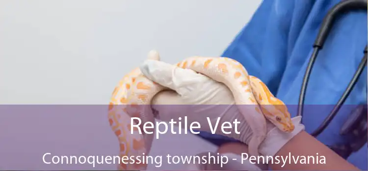 Reptile Vet Connoquenessing township - Pennsylvania