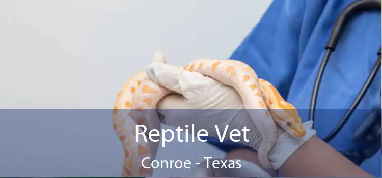 Reptile Vet Conroe - Texas