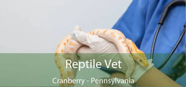 Reptile Vet Cranberry - Pennsylvania