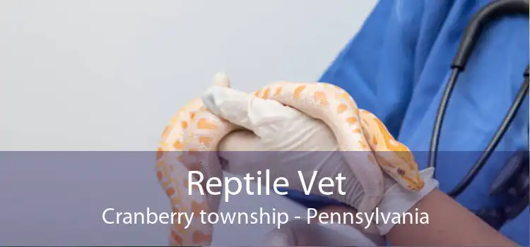Reptile Vet Cranberry township - Pennsylvania