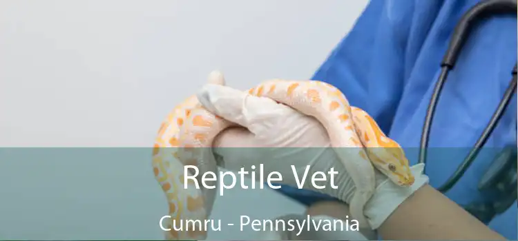 Reptile Vet Cumru - Pennsylvania