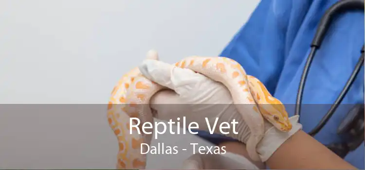 Reptile Vet Dallas - Texas