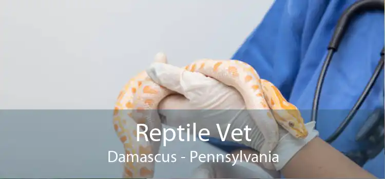 Reptile Vet Damascus - Pennsylvania