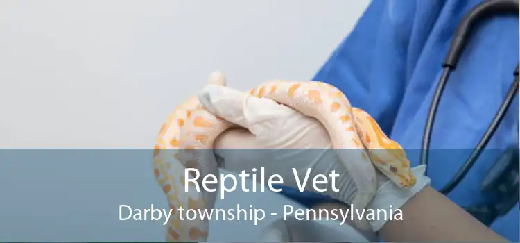 Reptile Vet Darby township - Pennsylvania