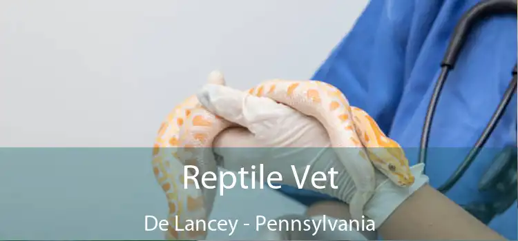 Reptile Vet De Lancey - Pennsylvania