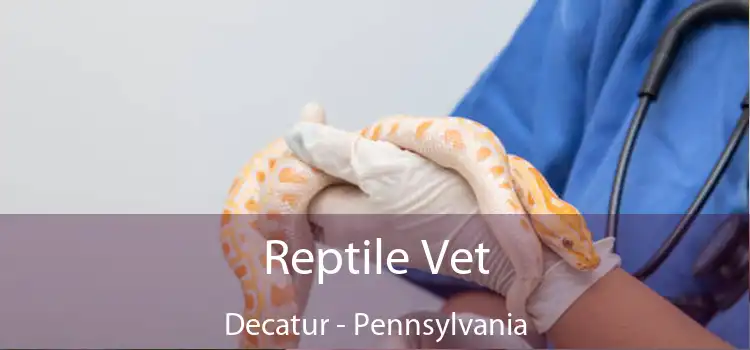 Reptile Vet Decatur - Pennsylvania
