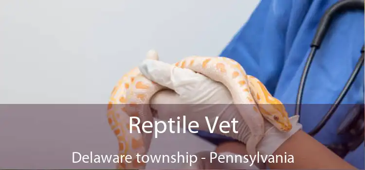 Reptile Vet Delaware township - Pennsylvania