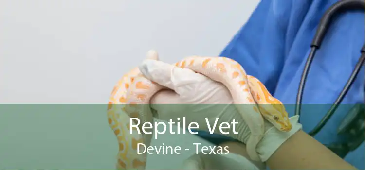 Reptile Vet Devine - Texas