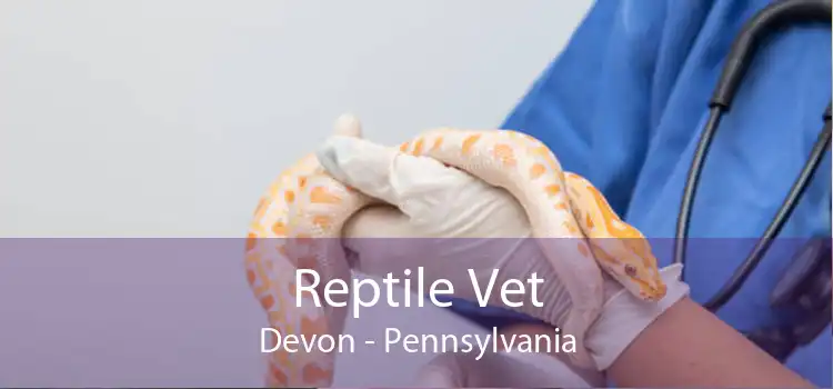 Reptile Vet Devon - Pennsylvania