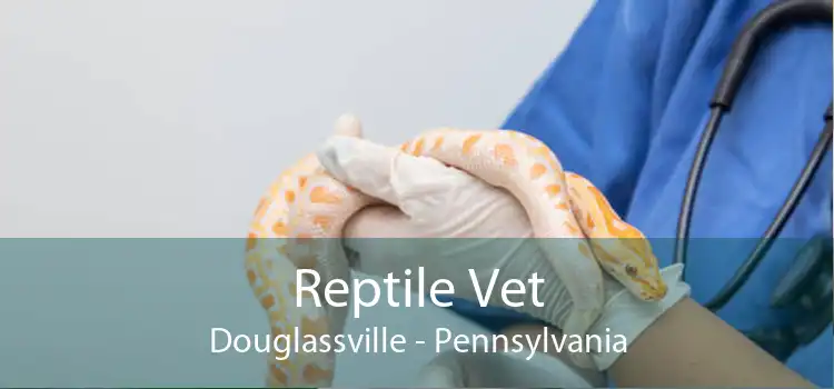 Reptile Vet Douglassville - Pennsylvania
