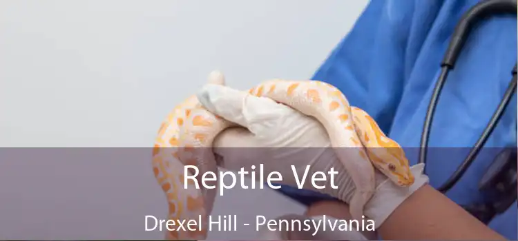 Reptile Vet Drexel Hill - Pennsylvania