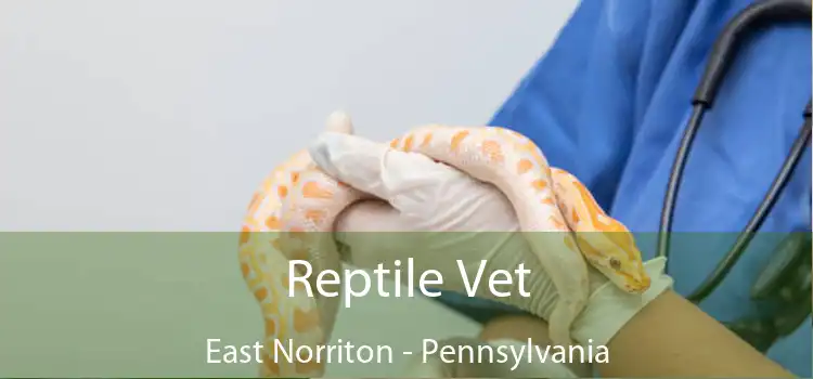 Reptile Vet East Norriton - Pennsylvania