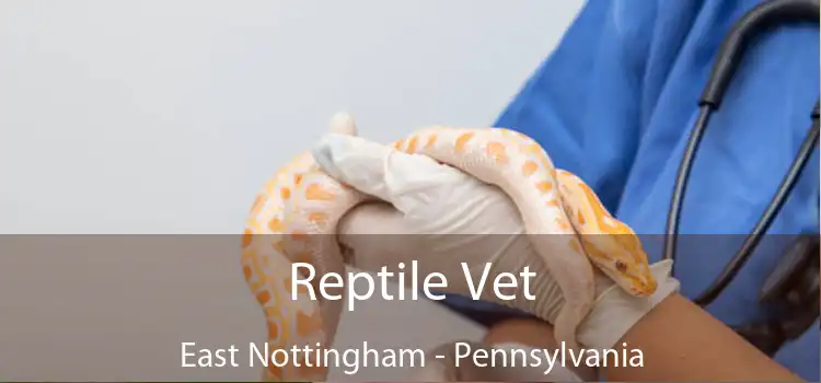 Reptile Vet East Nottingham - Pennsylvania