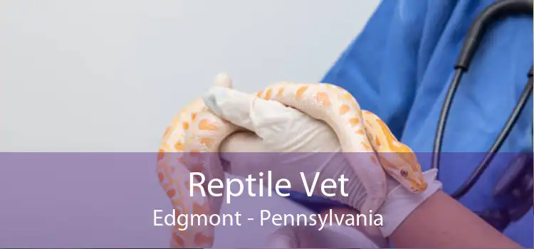 Reptile Vet Edgmont - Pennsylvania