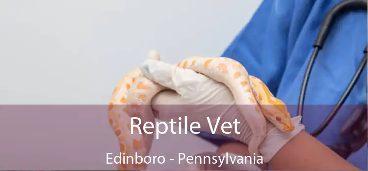 Reptile Vet Edinboro - Pennsylvania