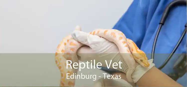 Reptile Vet Edinburg - Texas