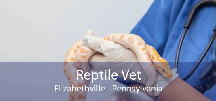 Reptile Vet Elizabethville - Pennsylvania
