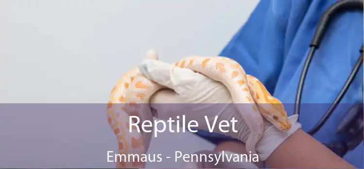 Reptile Vet Emmaus - Pennsylvania