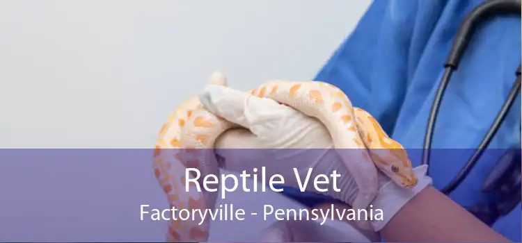 Reptile Vet Factoryville - Pennsylvania