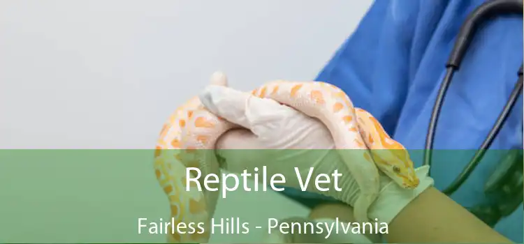 Reptile Vet Fairless Hills - Pennsylvania