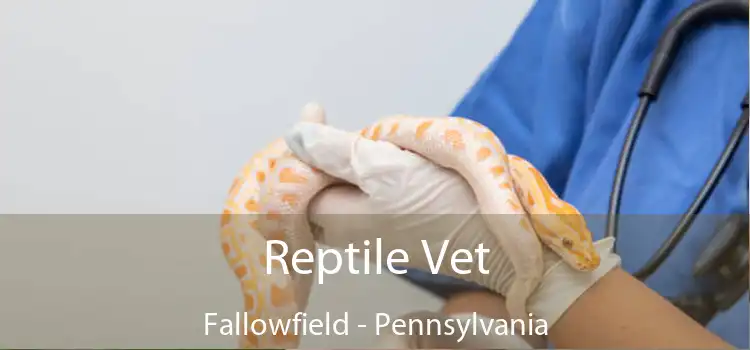 Reptile Vet Fallowfield - Pennsylvania