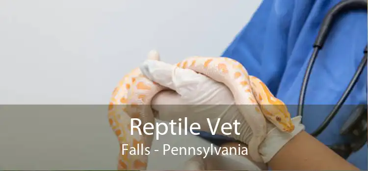 Reptile Vet Falls - Pennsylvania