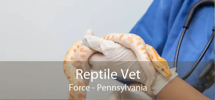 Reptile Vet Force - Pennsylvania