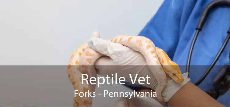 Reptile Vet Forks - Pennsylvania