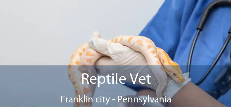 Reptile Vet Franklin city - Pennsylvania