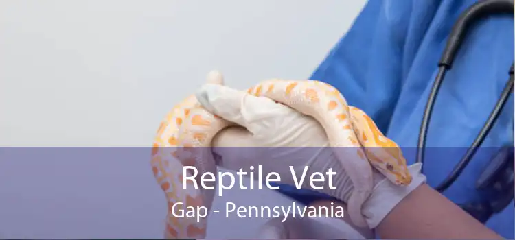Reptile Vet Gap - Pennsylvania