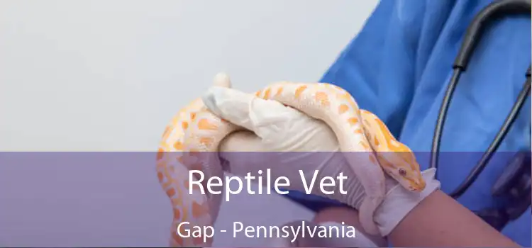 Reptile Vet Gap - Pennsylvania
