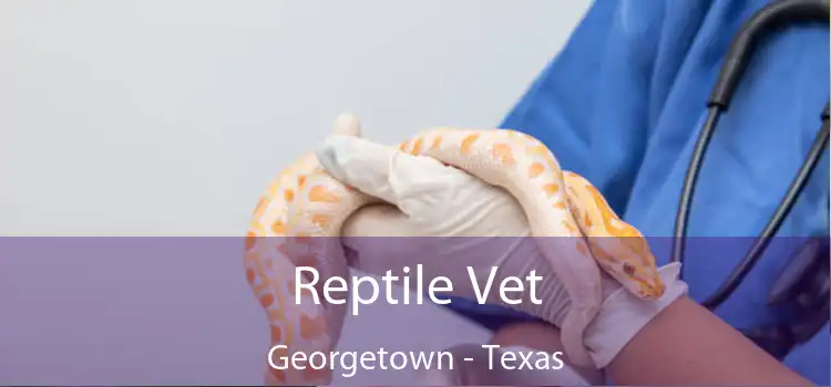Reptile Vet Georgetown - Texas