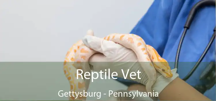 Reptile Vet Gettysburg - Pennsylvania